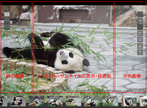 画像表示エリア(パンダ) 画像表示エリア(パンダ)
