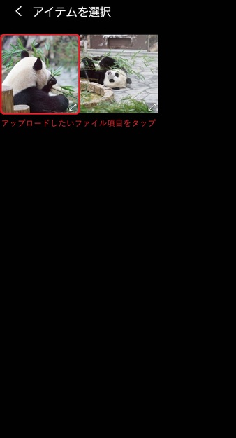 アップロードするファイルを選択 アップロードするファイルを選択