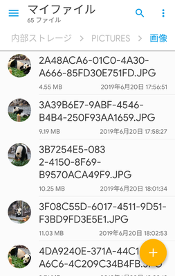 手元の端末のファイルが表示される 手元の端末のファイルが表示される