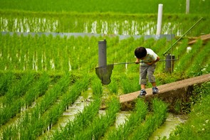 いつまでもとっておきたい、子どもたちの成長を撮った大切な写真 いつまでもとっておきたい、子どもたちの成長を撮った大切な写真